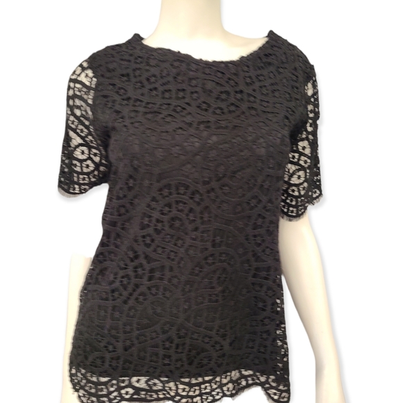Black Lace Short Sleeve Top NWT size small - Picture 5 of 10